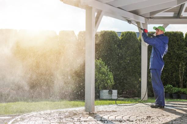Best Animal Enclosure Cleaning  in Skagway, AK